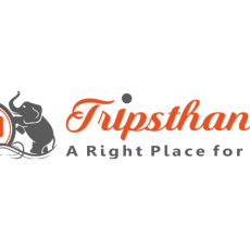Profile picture for user tripsthan