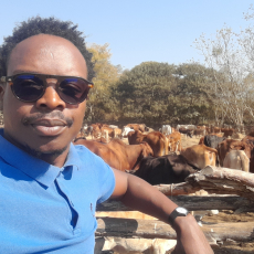 Profile picture for user felixmbewe