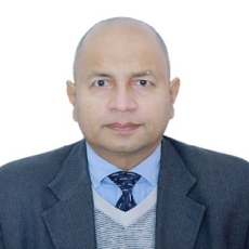 Profile picture for user professornaz