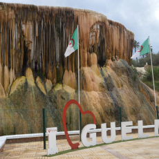Profile picture for user wildtn.guelma