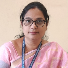 Profile picture for user pallavi.hm
