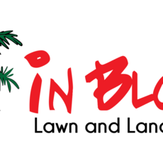 Profile picture for user contactinbloomlawnandlandscape
