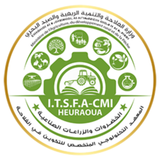 Profile picture for user itmasheuraoua