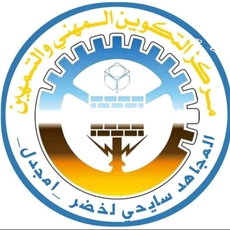 Profile picture for user madjid211982