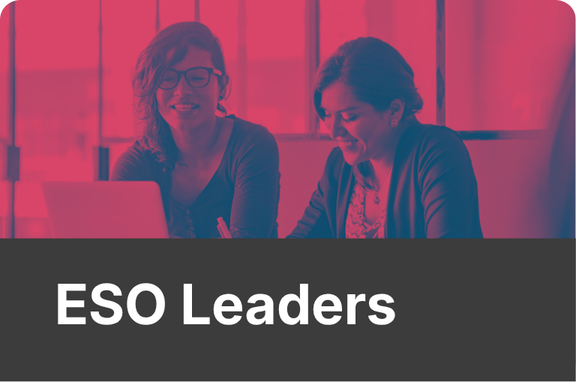 ESO Leaders