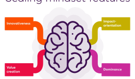 Scaling mindset features