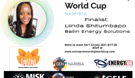 Linda Shitumbapo, Bailin Energy