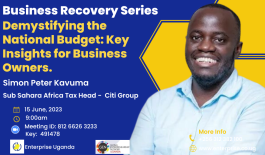 Demystifying the National Budget: Key Insights for Business Owners.       