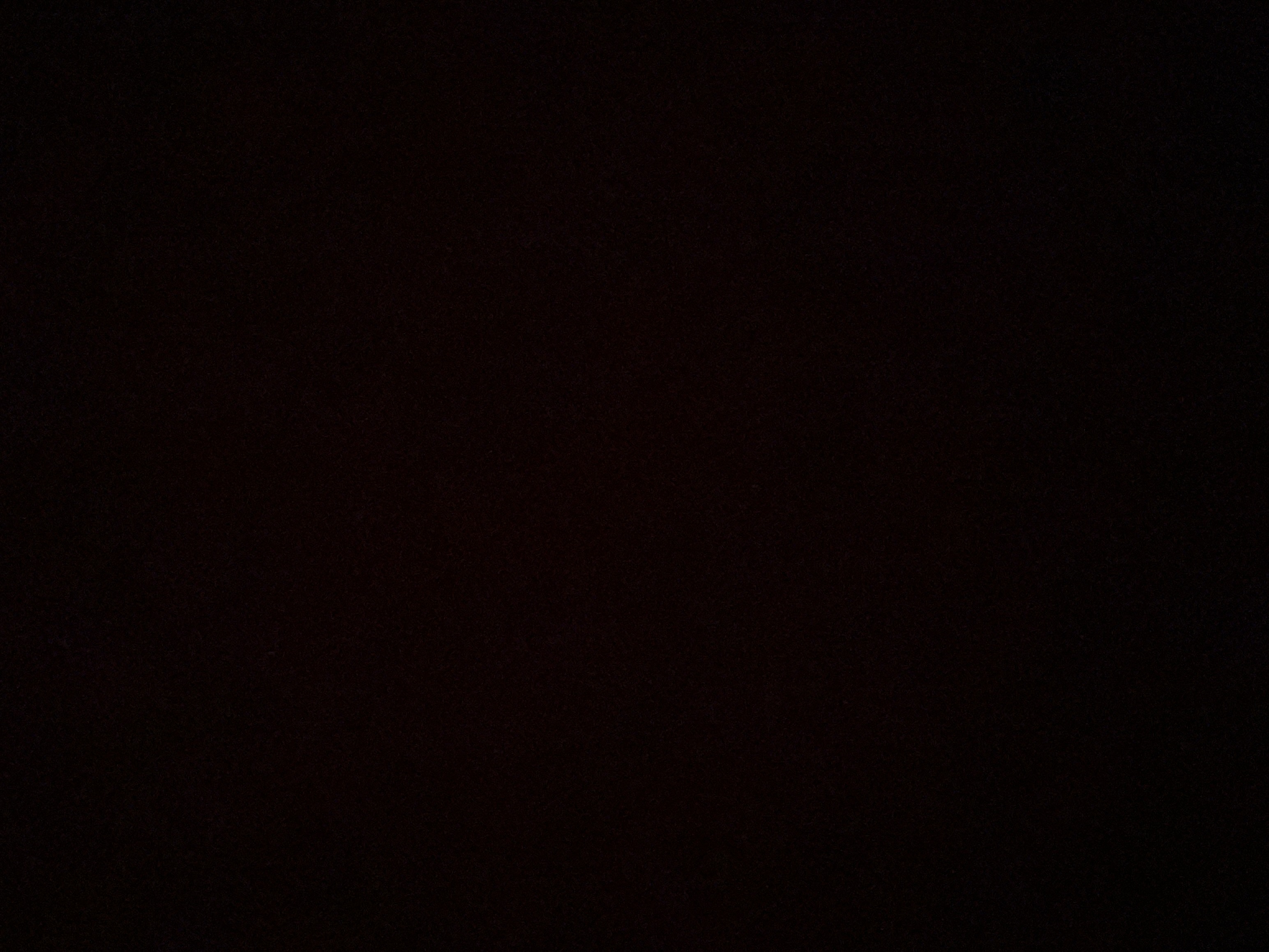 Profile picture for user wadeakatrib